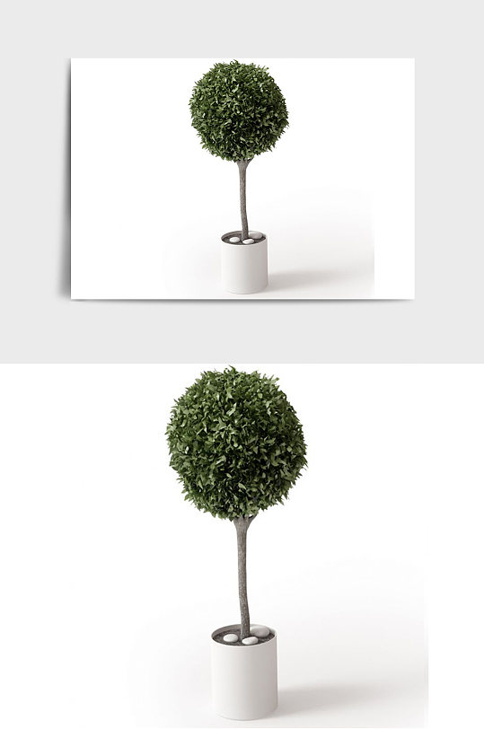 树木C4D景观绿植盆栽盆景模型-众图网