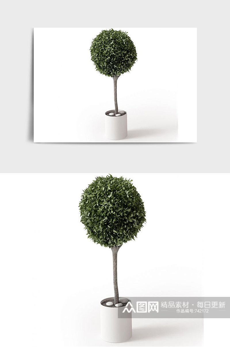 树木C4D景观绿植盆栽盆景模型素材