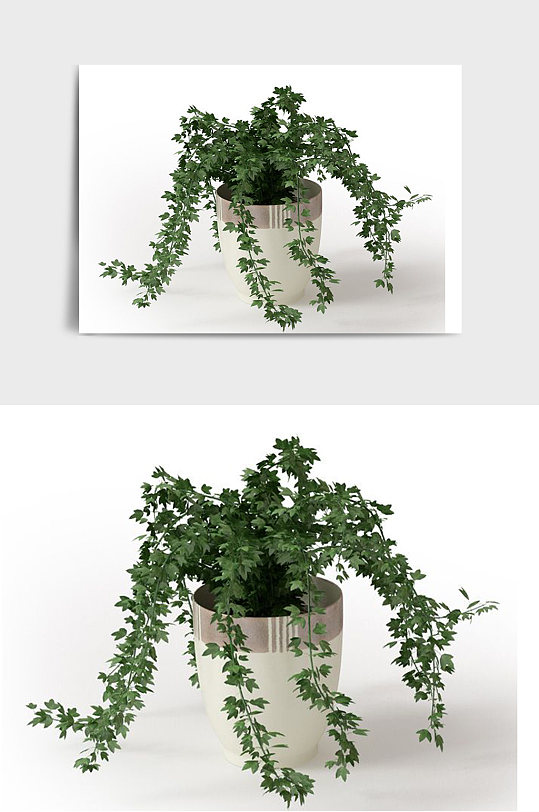 盆栽盆景C4D景观绿植模型-众图网