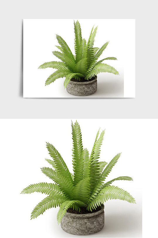 书桌景观盆景绿植植物盆栽C4D模型-众图网