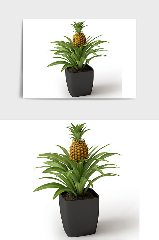 装饰景观盆景绿植植物盆栽C4D模型-众图网