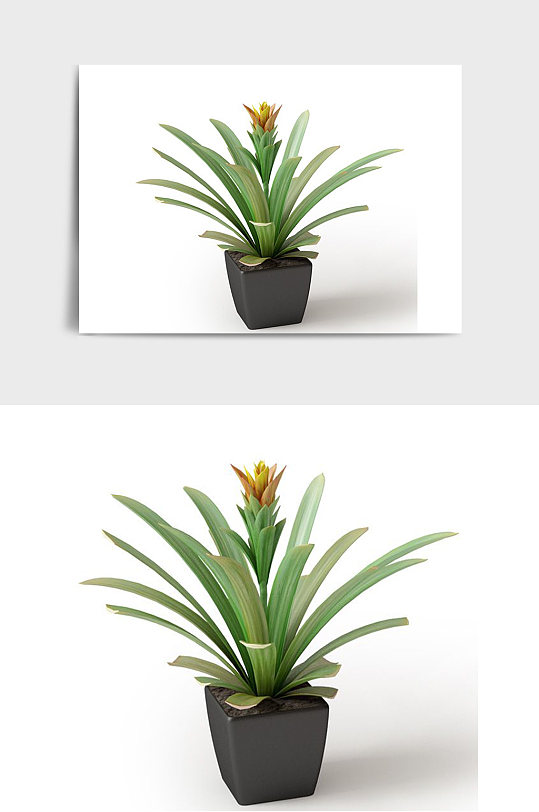 办公室景观盆景绿植植物盆栽C4D模型-众图网