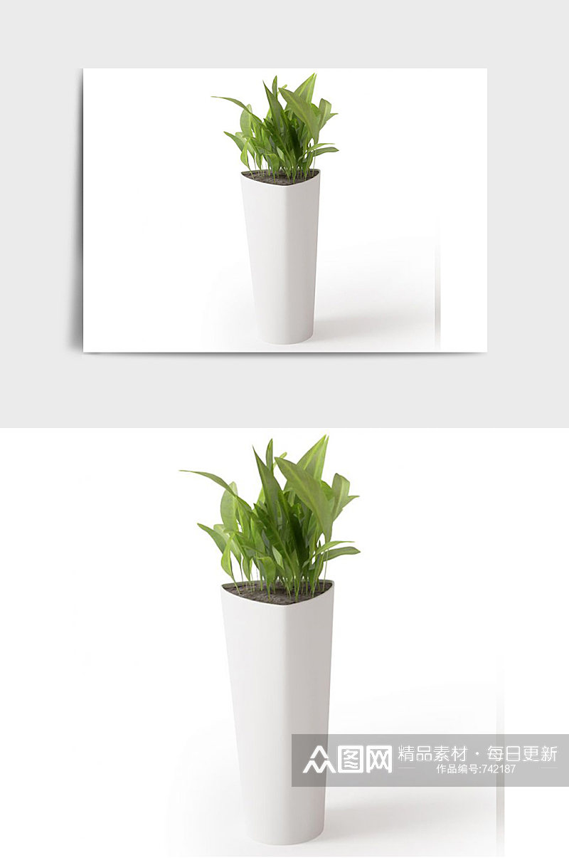 室内盆景绿植植物盆栽C4D模型素材