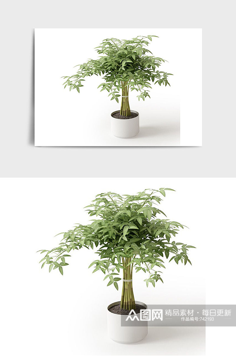 绿化景观盆景绿植植物盆栽C4D模型素材