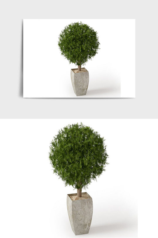 户外景观盆景绿植植物盆栽C4D模型-众图网