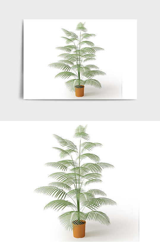 景观盆景绿植植物盆栽C4D模型-众图网