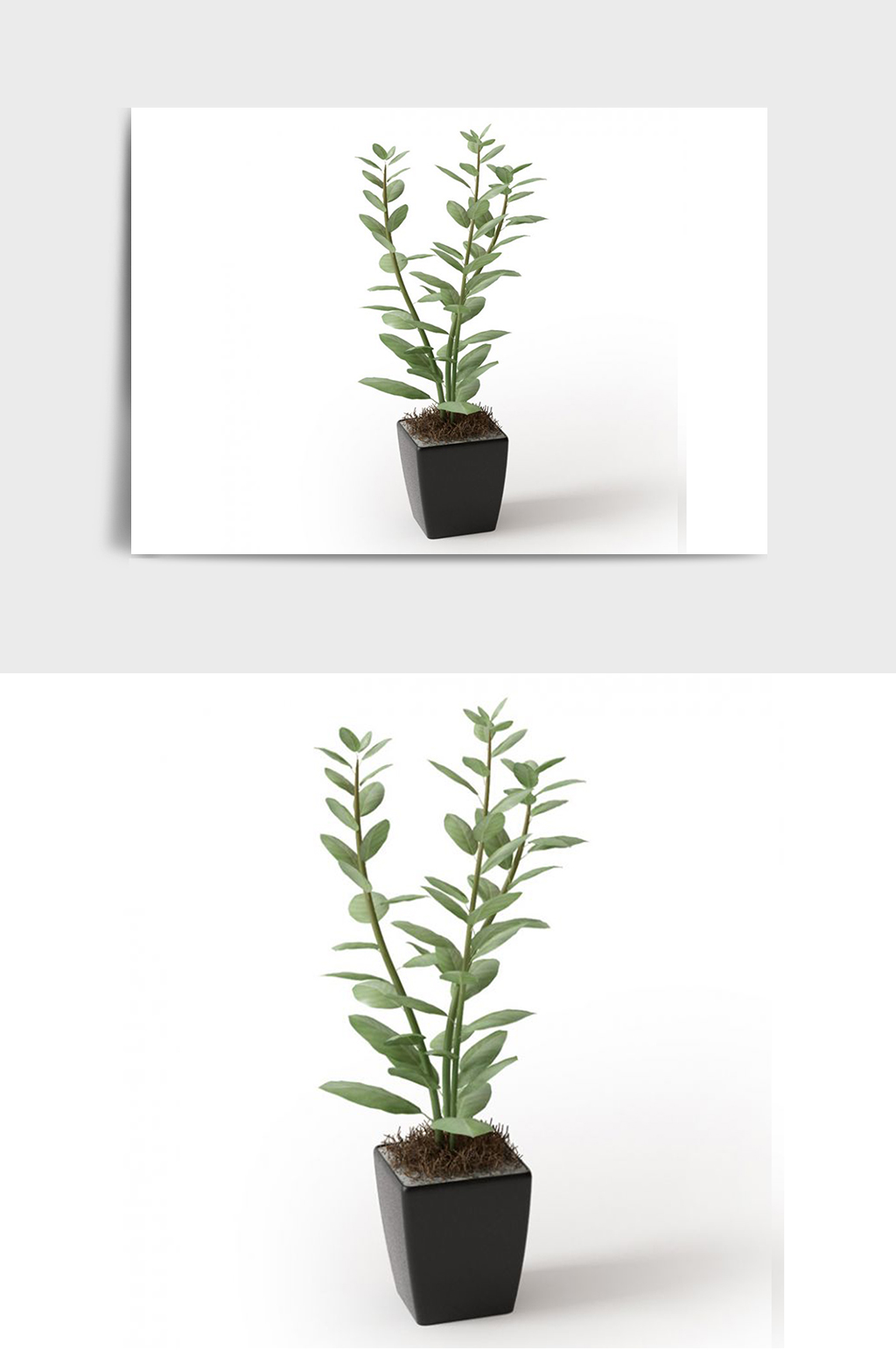 装饰摆件景观盆景绿植植物盆栽C4D模型素材