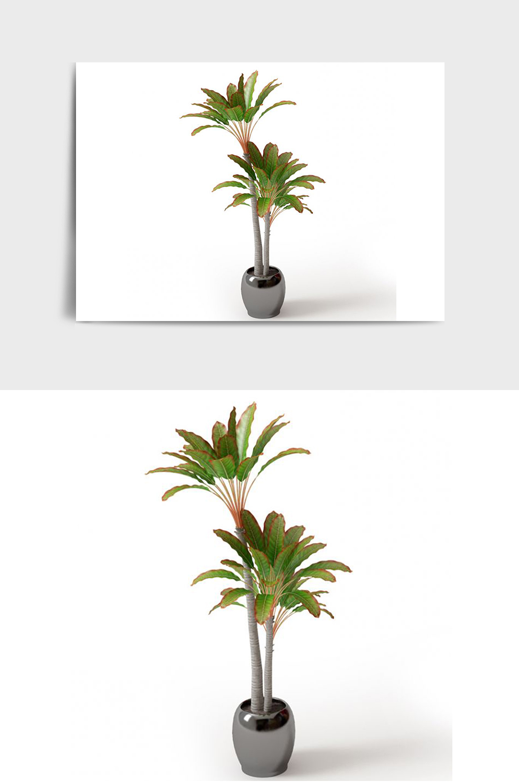 办公室景观盆景绿植植物盆栽C4D模型素材