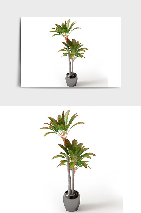 办公室景观盆景绿植植物盆栽C4D模型-众图网