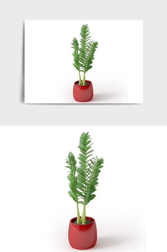 绿色景观盆景绿植植物盆栽C4D模型-众图网