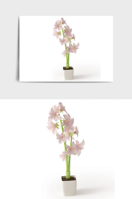 花朵景观盆景绿植植物盆栽C4D模型-众图网