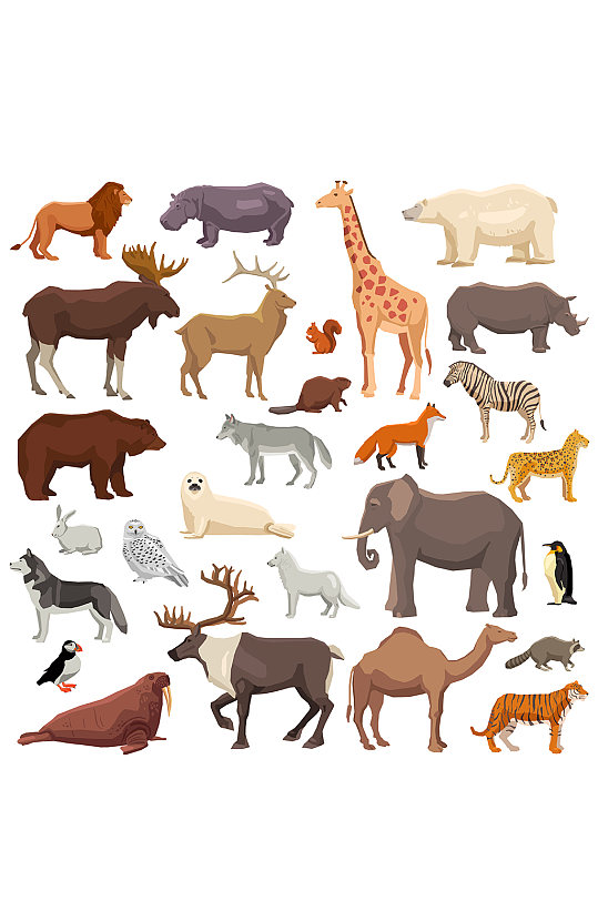 野生动物和宠物插画矢量素材合集