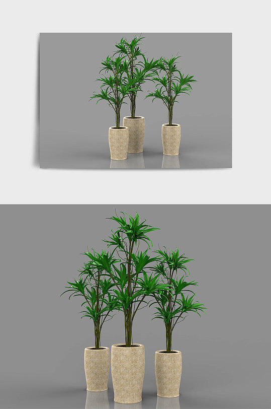 绿植盆栽盆景树木C4D模型