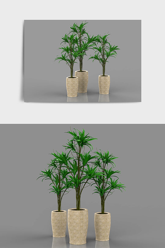 绿植盆栽盆景树木C4D模型-众图网