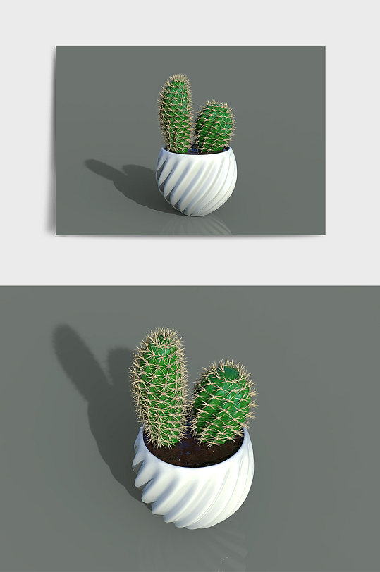 绿植盆栽盆景仙人掌摆件C4D模型-众图网