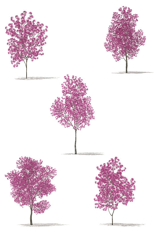 紫色户外景观树木绿植3D模型合集-众图网