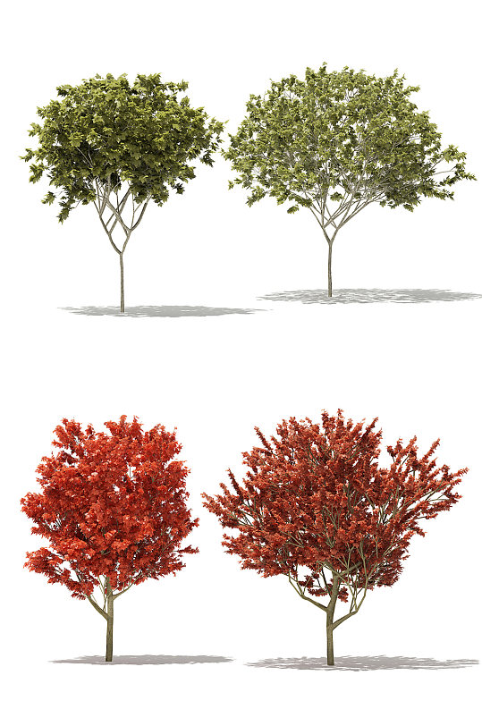 户外景观树木绿植3D模型合集-众图网