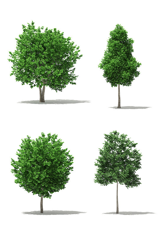 4款户外景观树木绿植3D模型合集
