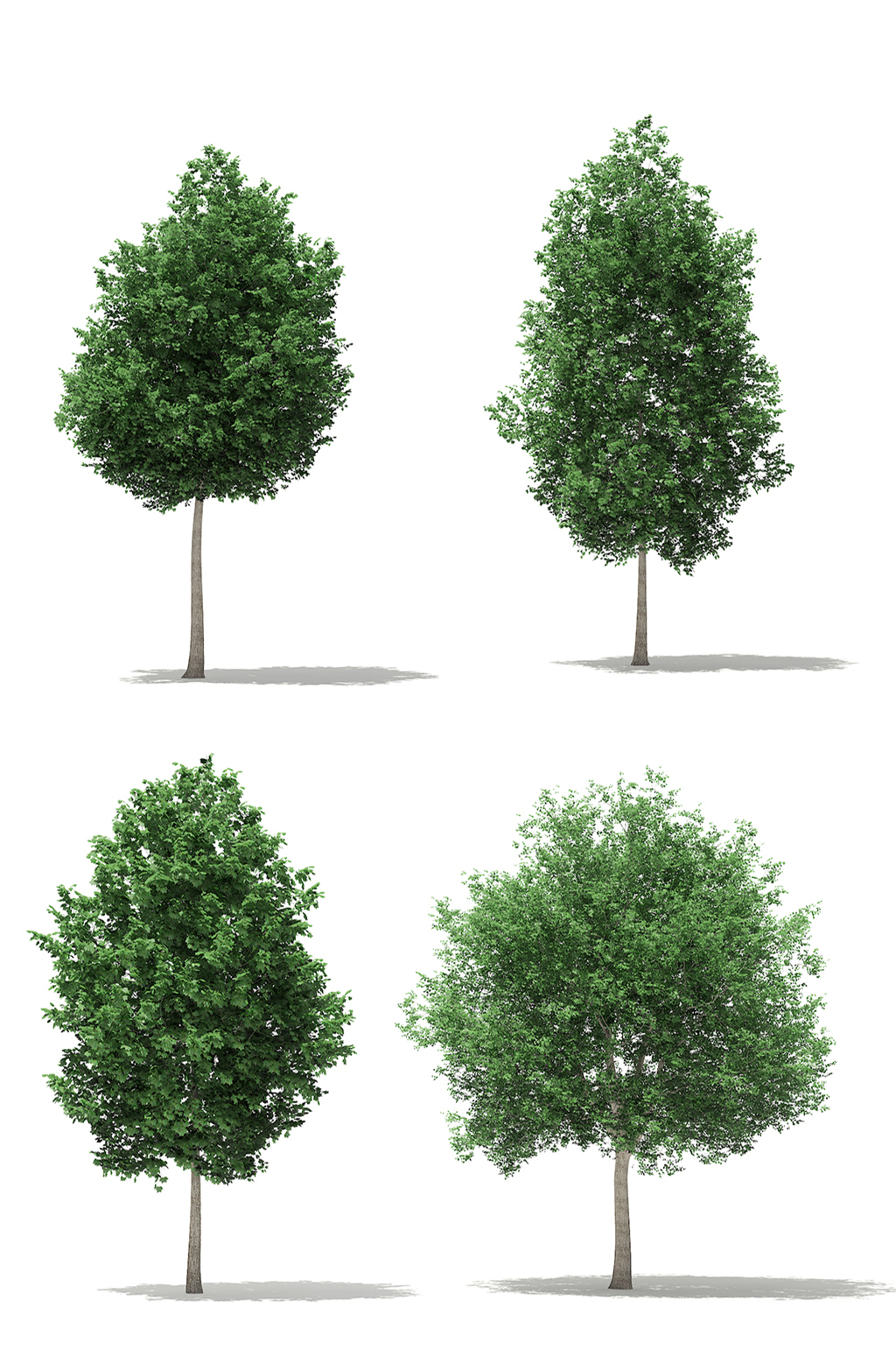 4款户外景观树木绿植3D模型合集素材