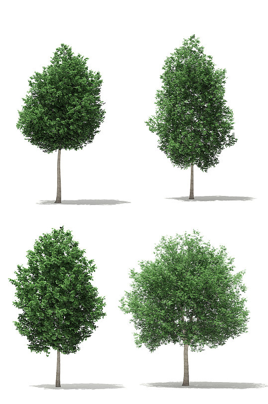 4款户外景观树木绿植3D模型合集