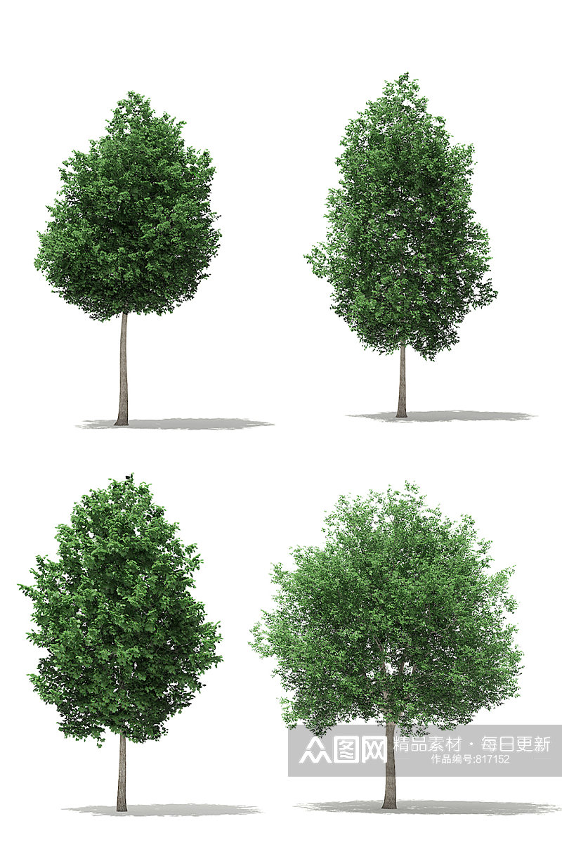 4款户外景观树木绿植3D模型合集素材