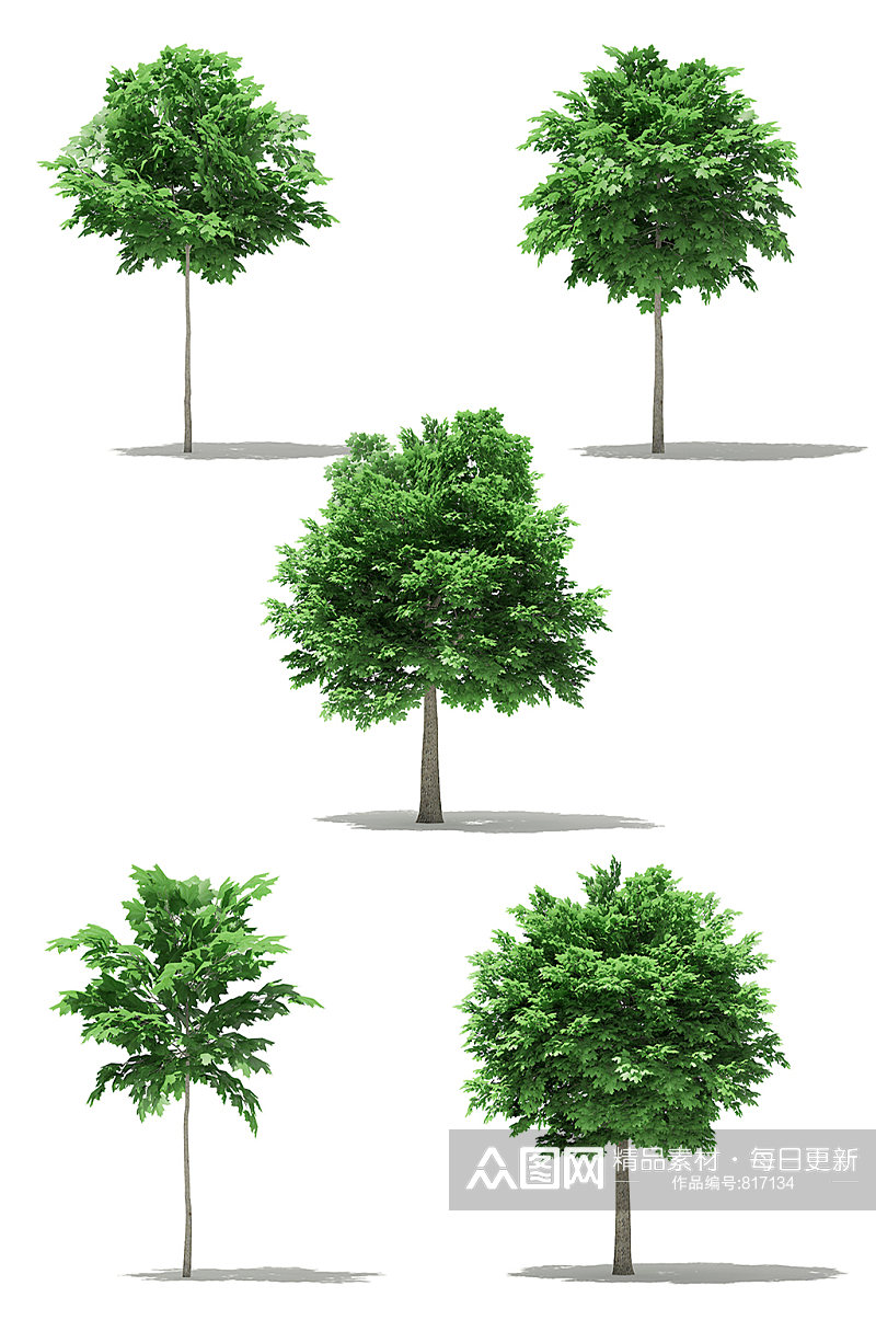 绿色户外景观树木绿植3D模型合集素材