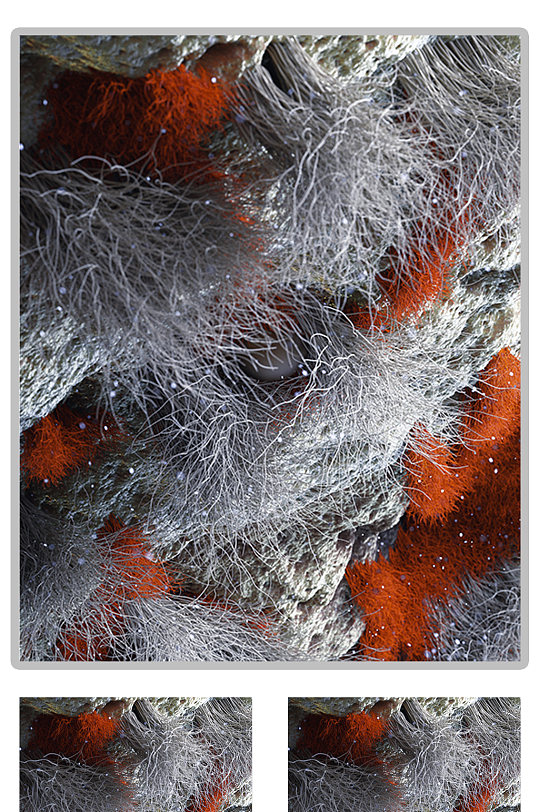 岩石毛发肌理C4D模型含灯光贴图-众图网