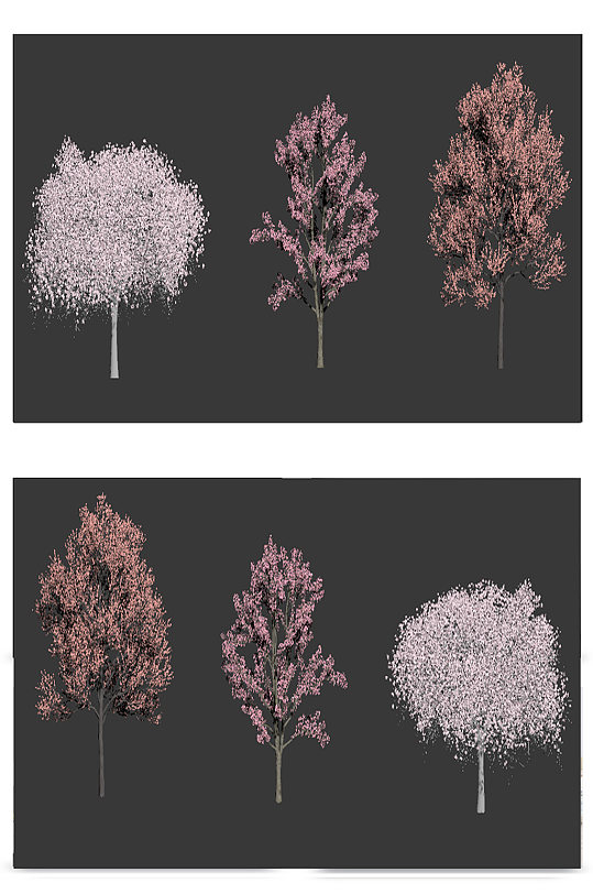 樱花树绿植植物3D模型