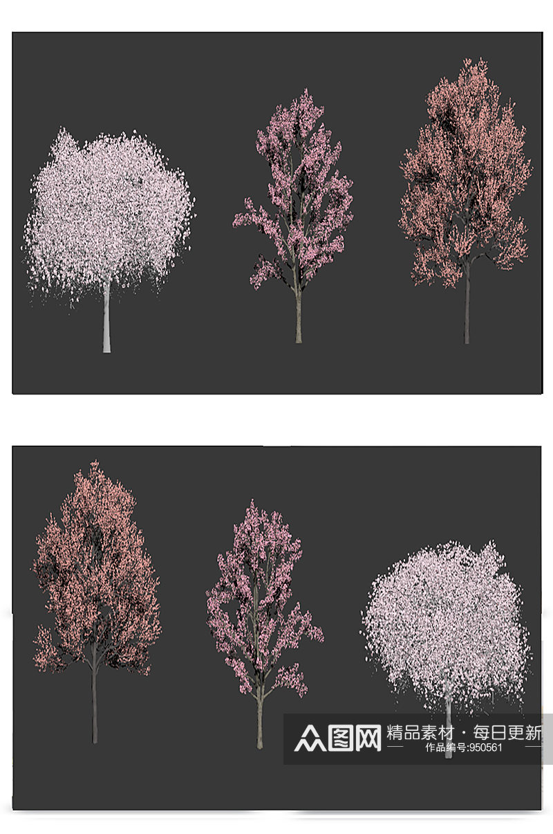 樱花树绿植植物3D模型素材