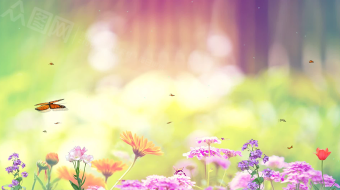 唯美清新美丽蝴蝶花丛飞舞背景视频素材-众图网