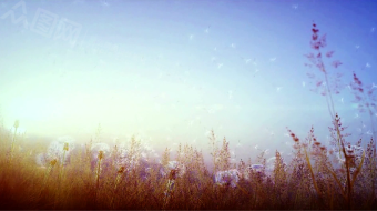 清晨美景唯美花园3D清新视频素材-众图网