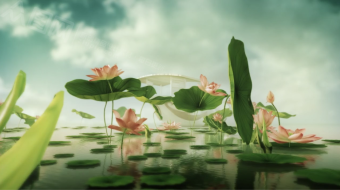 中国古风荷塘渡舟唯美清丽视频素材-众图网