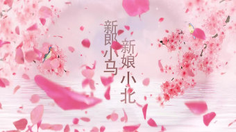 浪漫新中式荣水繁花婚礼开场片头视频模板-众图网