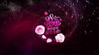 唯美浪漫玫瑰花瓣美丽女人节 妇女节视频-众图网