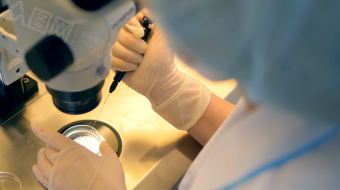 实拍医生显微镜下研究观察视频素材-众图网