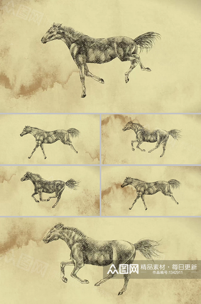 素描手绘骏马奔跑循环动画透明通道视频素材素材