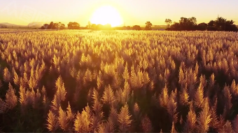 草野天空海洋多重靓丽风景 实拍  风景视频-众图网