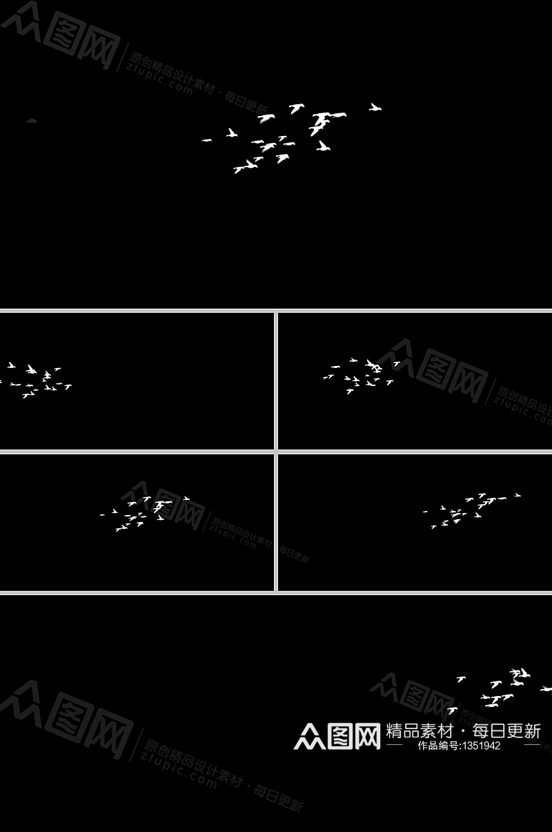 带通道群鸟飞略而过合成视频素材素材