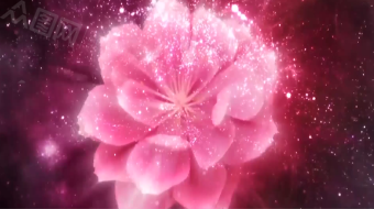 美丽枝展桃花花海动态穿梭背景视频素材-众图网