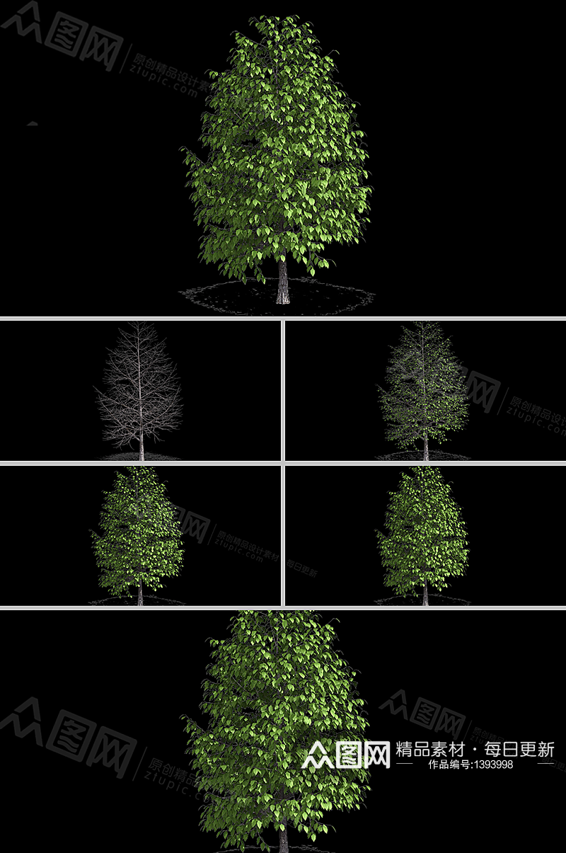 树叶渐渐生长出来带通道动画视频素材素材