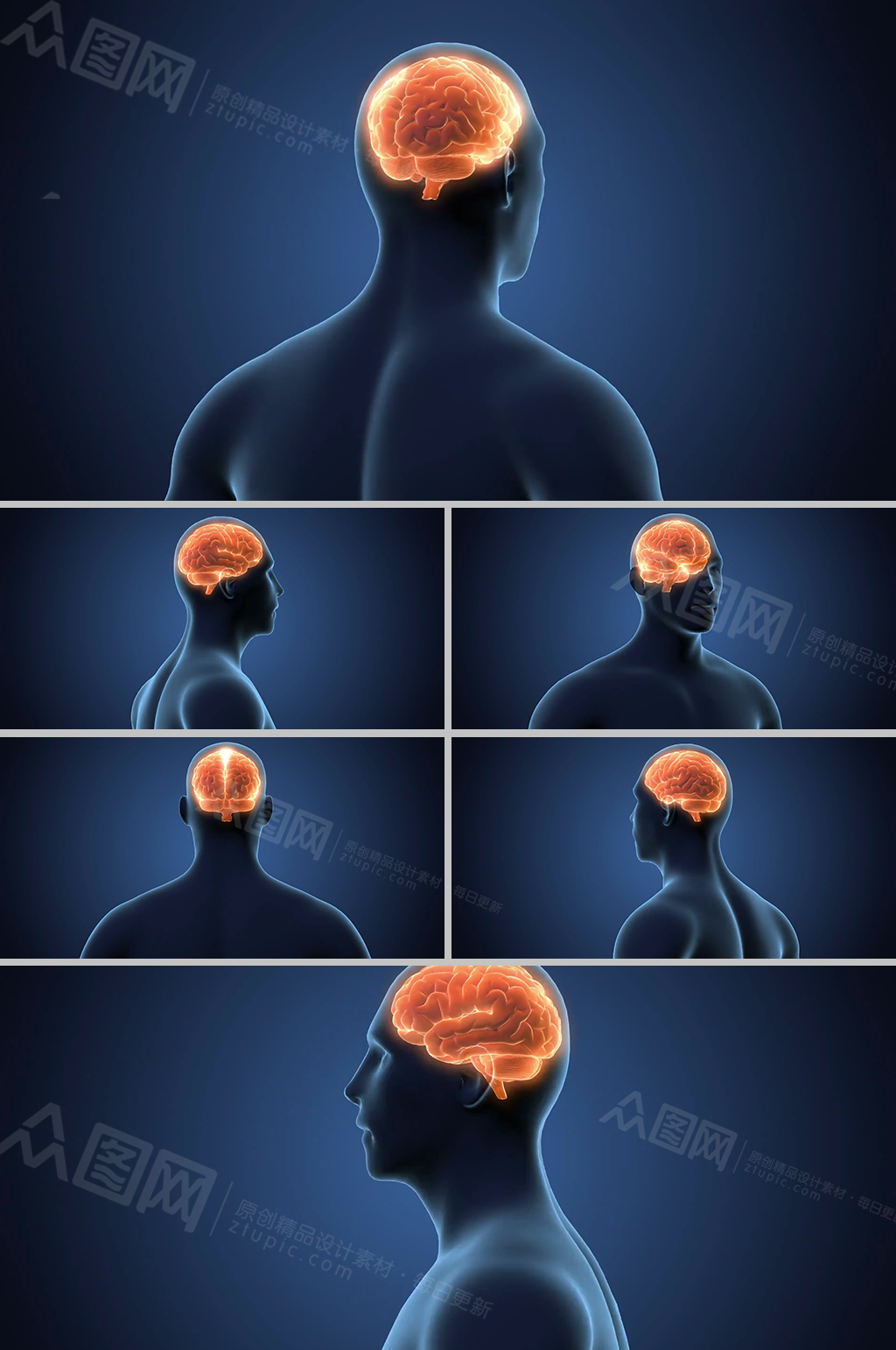 三维头部人体大脑透视医学视频素材素材