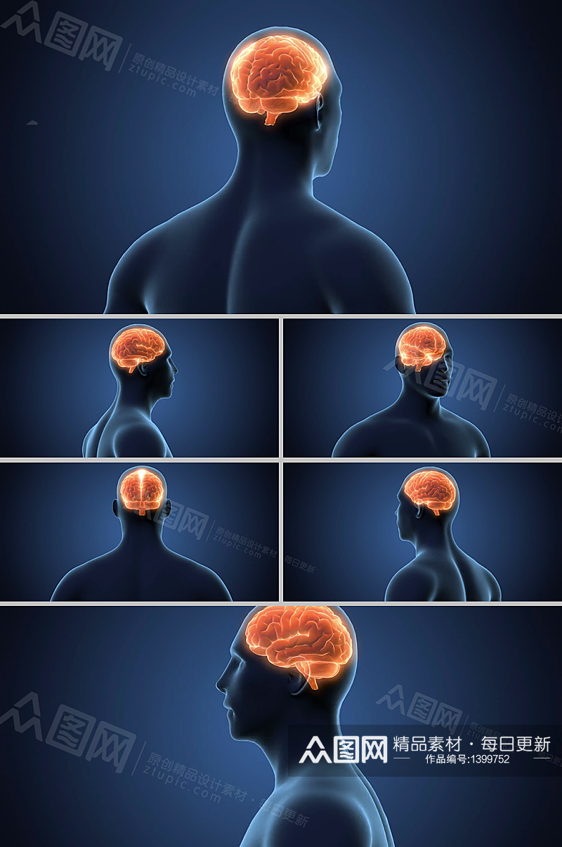 三维头部人体大脑透视医学视频素材素材