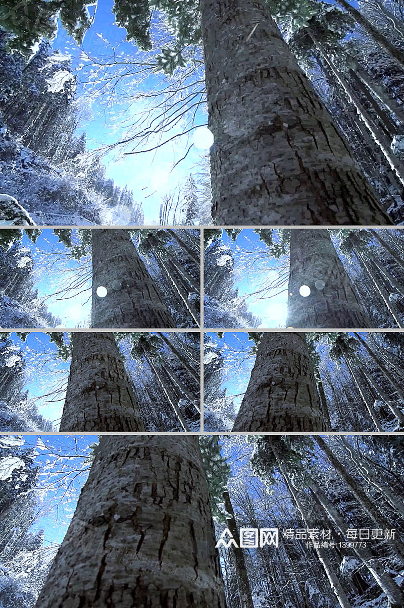 美丽森林仰拍雪花飘落大树遮挡视频素材素材
