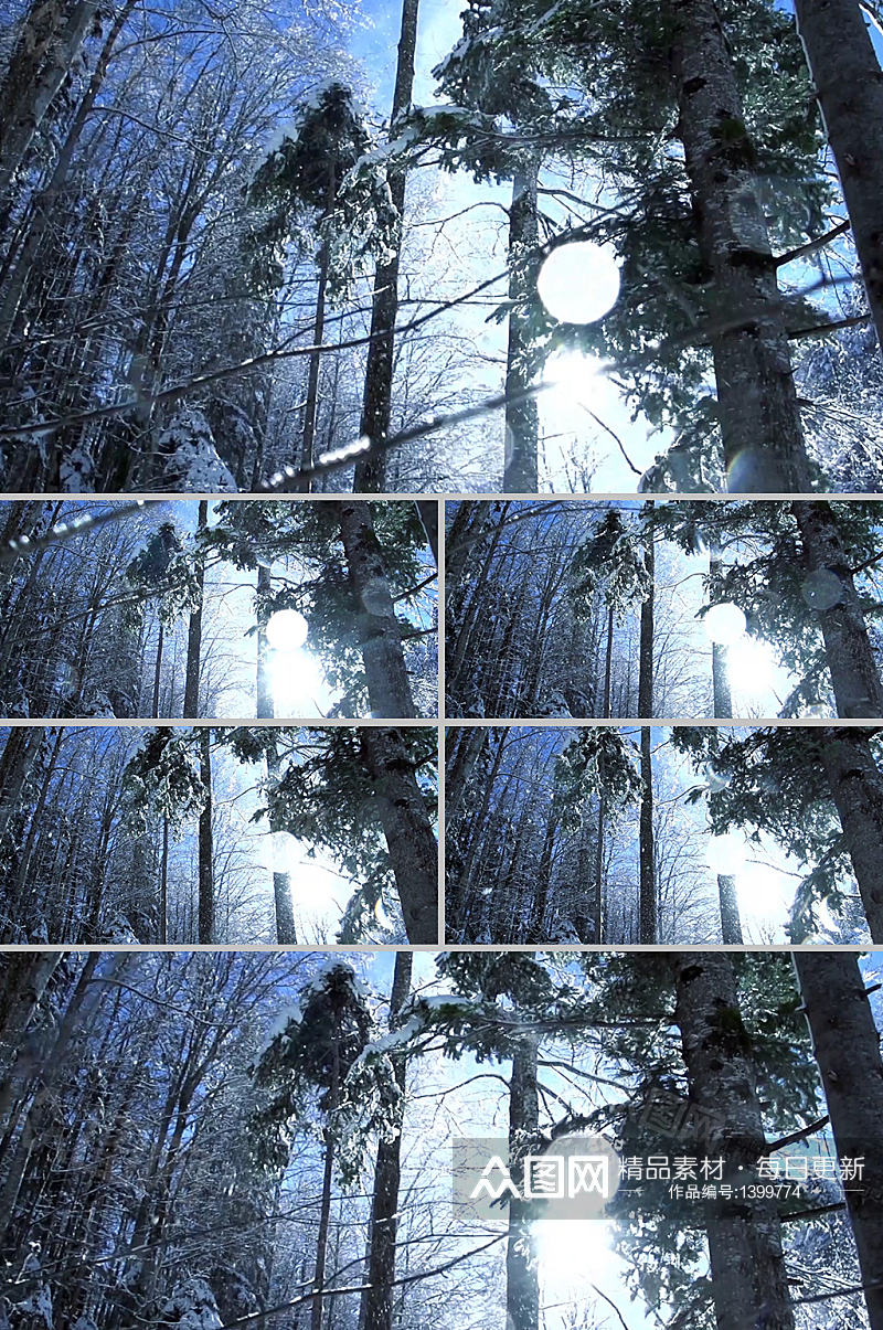 超清仰拍下雪森林美景视频素材素材