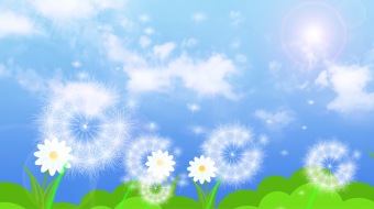 唯美小清新蒲公英飘落天空背景视频素材-众图网