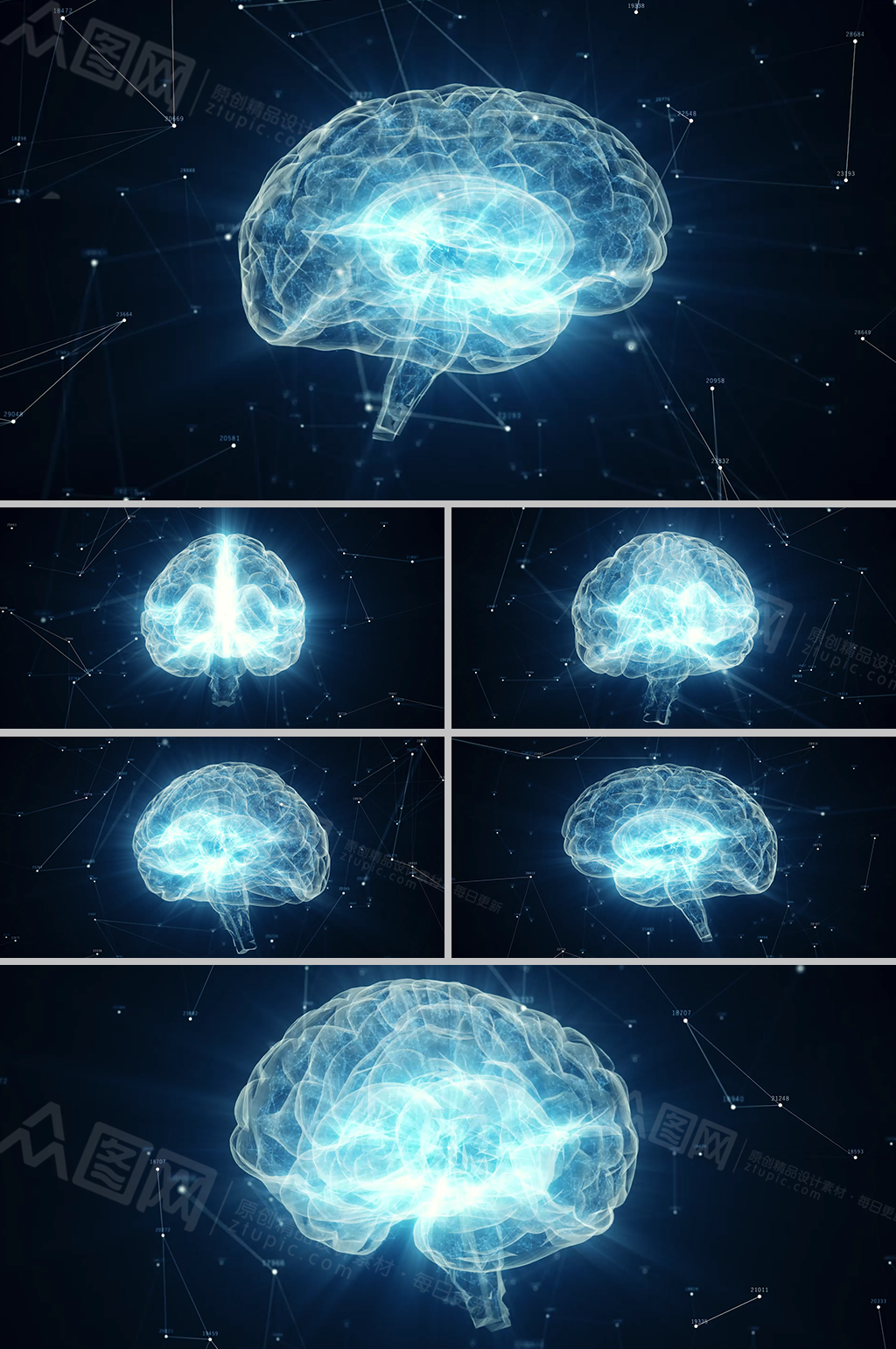 科技蓝光全息大脑三维影像视频素材模板下载-编号1421352-众图网