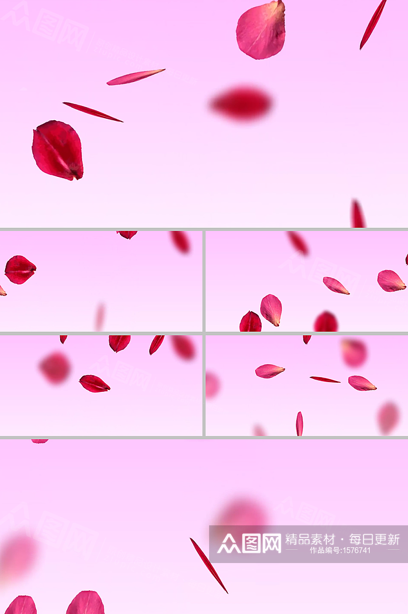 粉色温馨浪漫玫瑰花瓣飘落婚礼背景视频素材素材