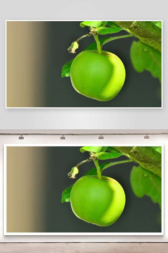 水果摄影图片壁纸图片-众图网