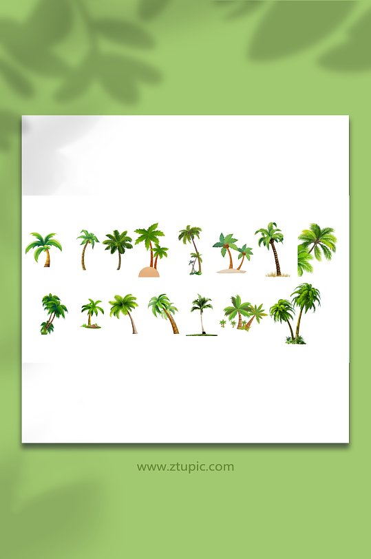 椰树椰子海南海边风景树