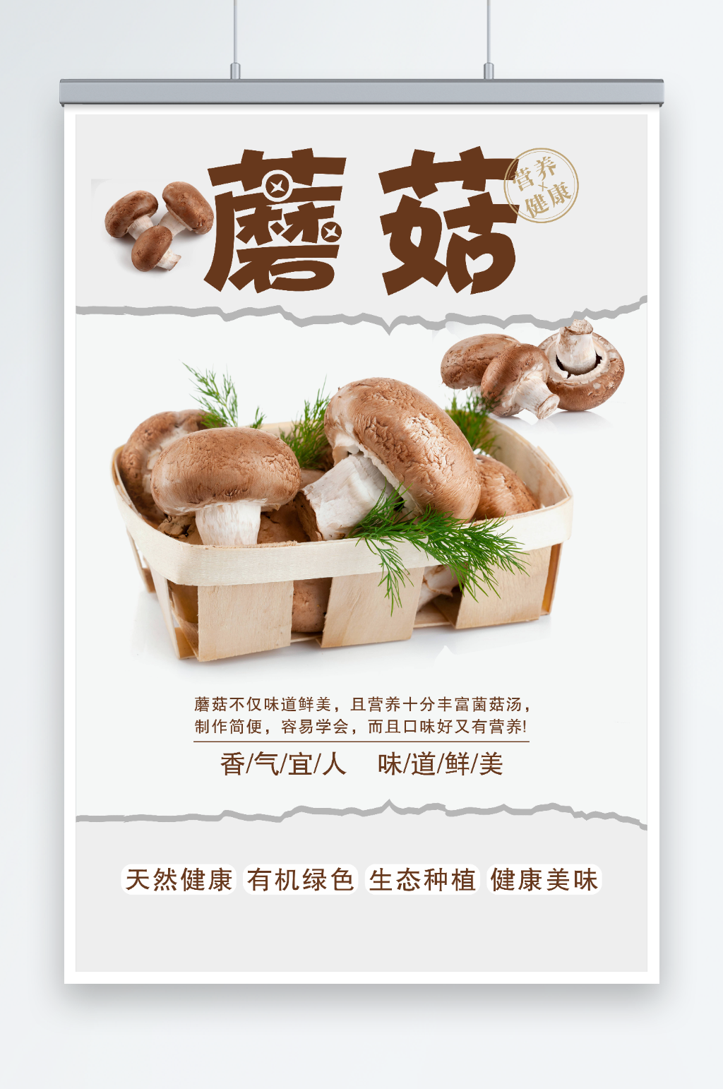 蘑菇海报菌菇海报素材